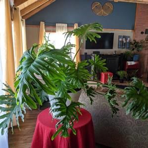 Meet your Posher, Brigitte